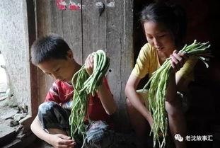 吃瓜山东姐弟视频大全,趣味横生的家庭日常