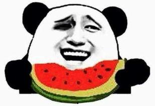 吃瓜群众领悟完整版视频,揭秘吃瓜群众领悟完整版视频背后的真相与笑料