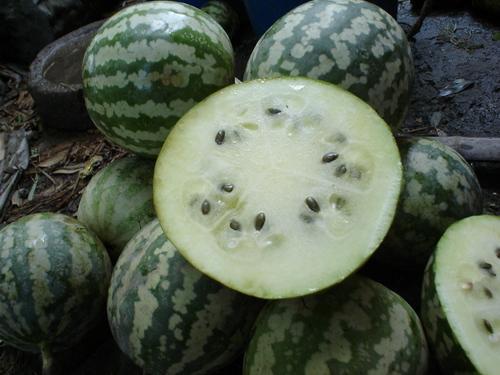 玻璃瓜怎么吃才好吃视频,视频教你轻松享美食