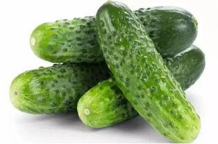 一丝凉爽吃瓜视频大全免费观看,免费观看一丝凉爽吃瓜视频大全