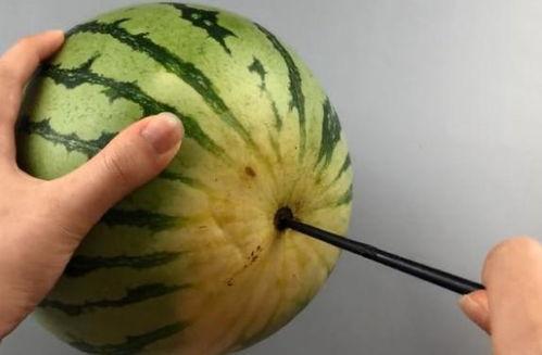 筷子吃瓜视频,解锁夏日美食新姿势