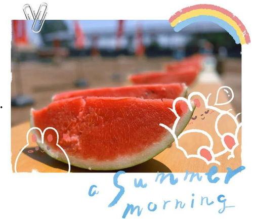 情人节现场吃瓜视频,甜蜜瓜语，见证爱意瞬间